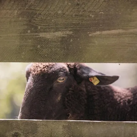 Zajazd Landhof Lazarus